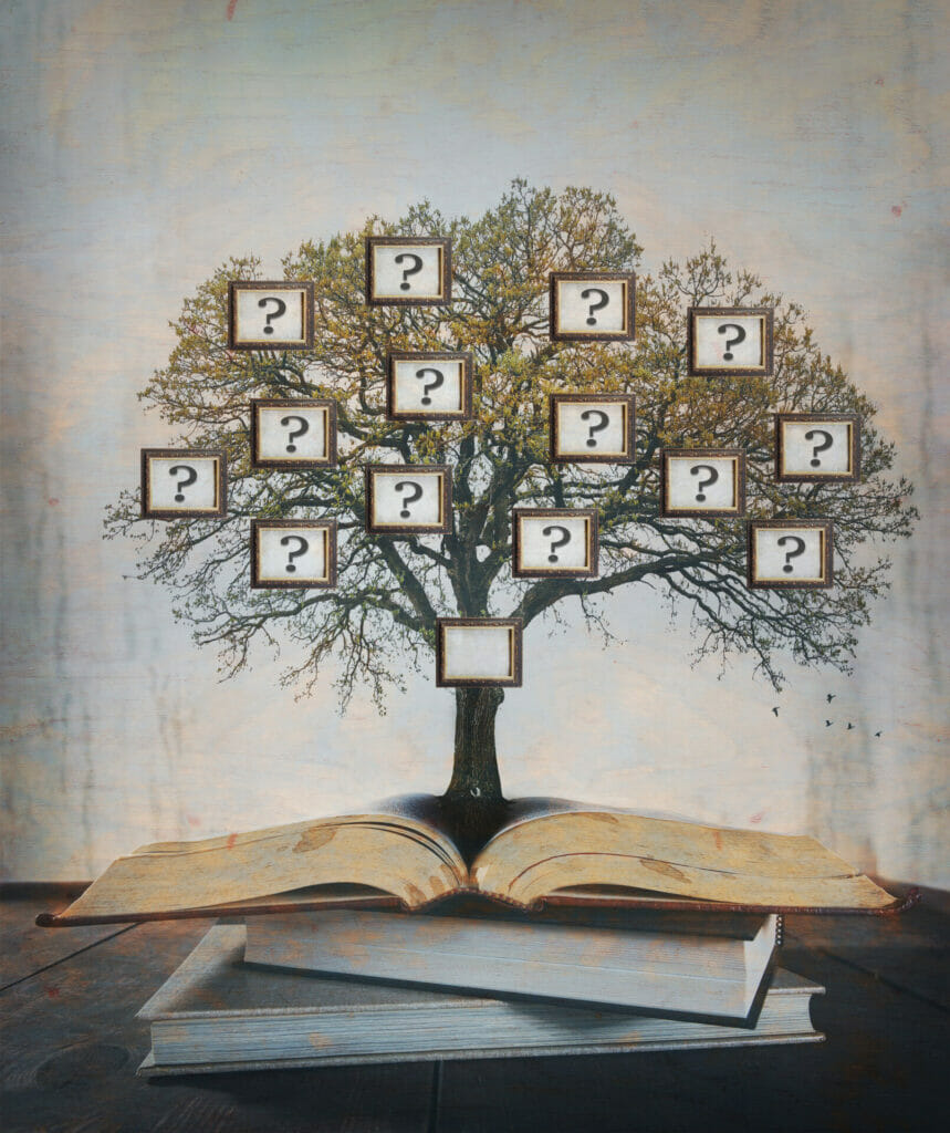 family tree with question marks in frames in the branches